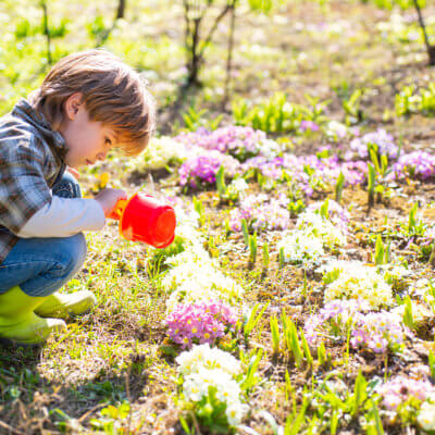 Gardening helps mental wellness, health, and skills for those with Autsim
